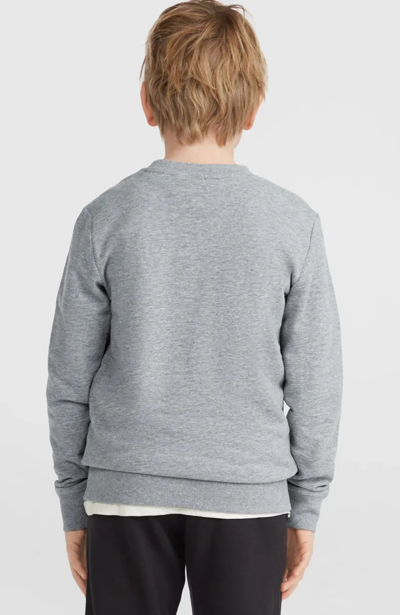 O'Neill Logo Crew Sweater | Silver Melee