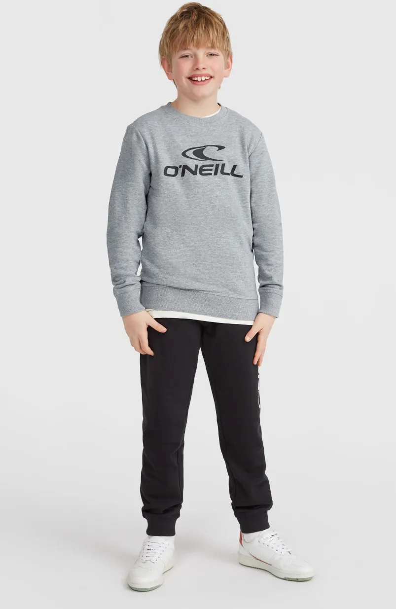 O'Neill Logo Crew Sweater | Silver Melee
