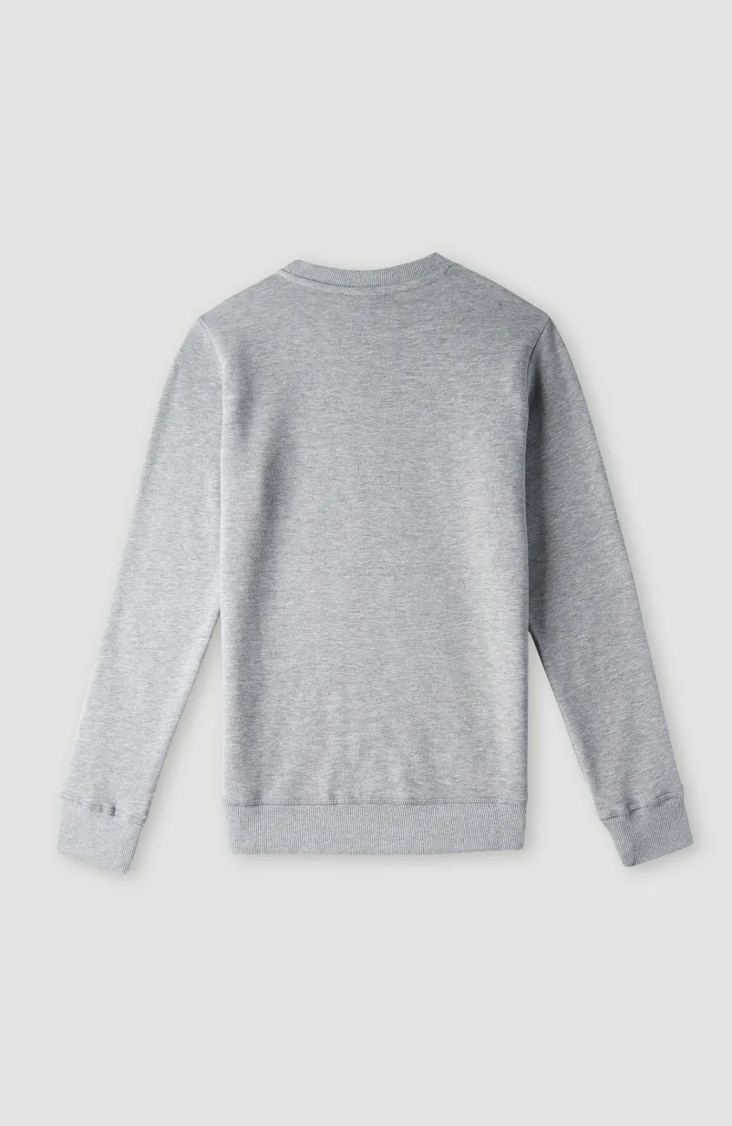O'Neill Logo Crew Sweater | Silver Melee