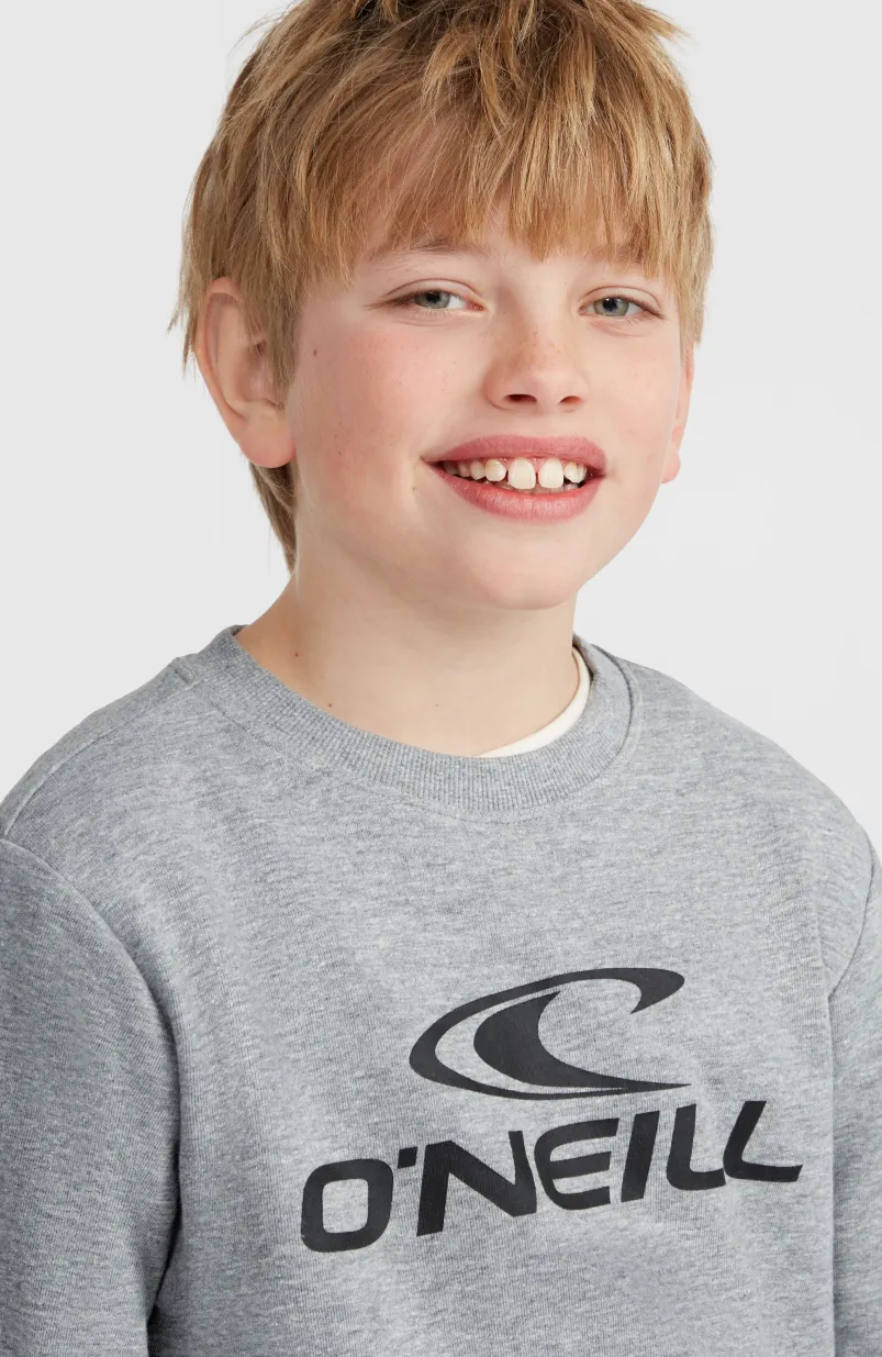 O'Neill Logo Crew Sweater | Silver Melee