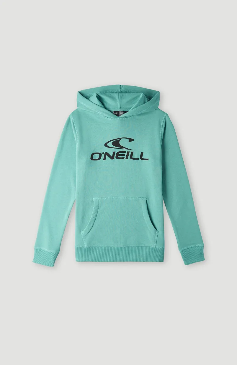 O'Neill Logo Hoodie | Sea Green