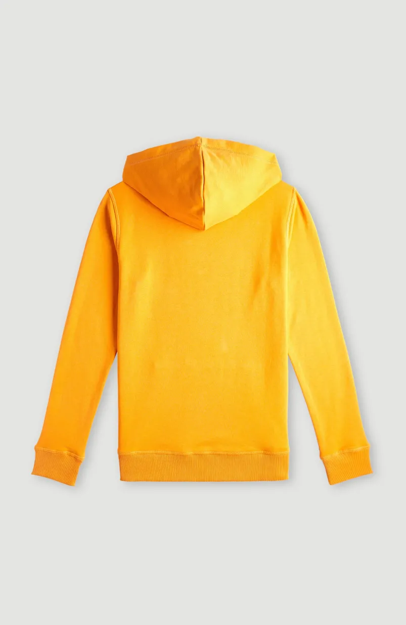 O'Neill Logo Hoodie | Nugget