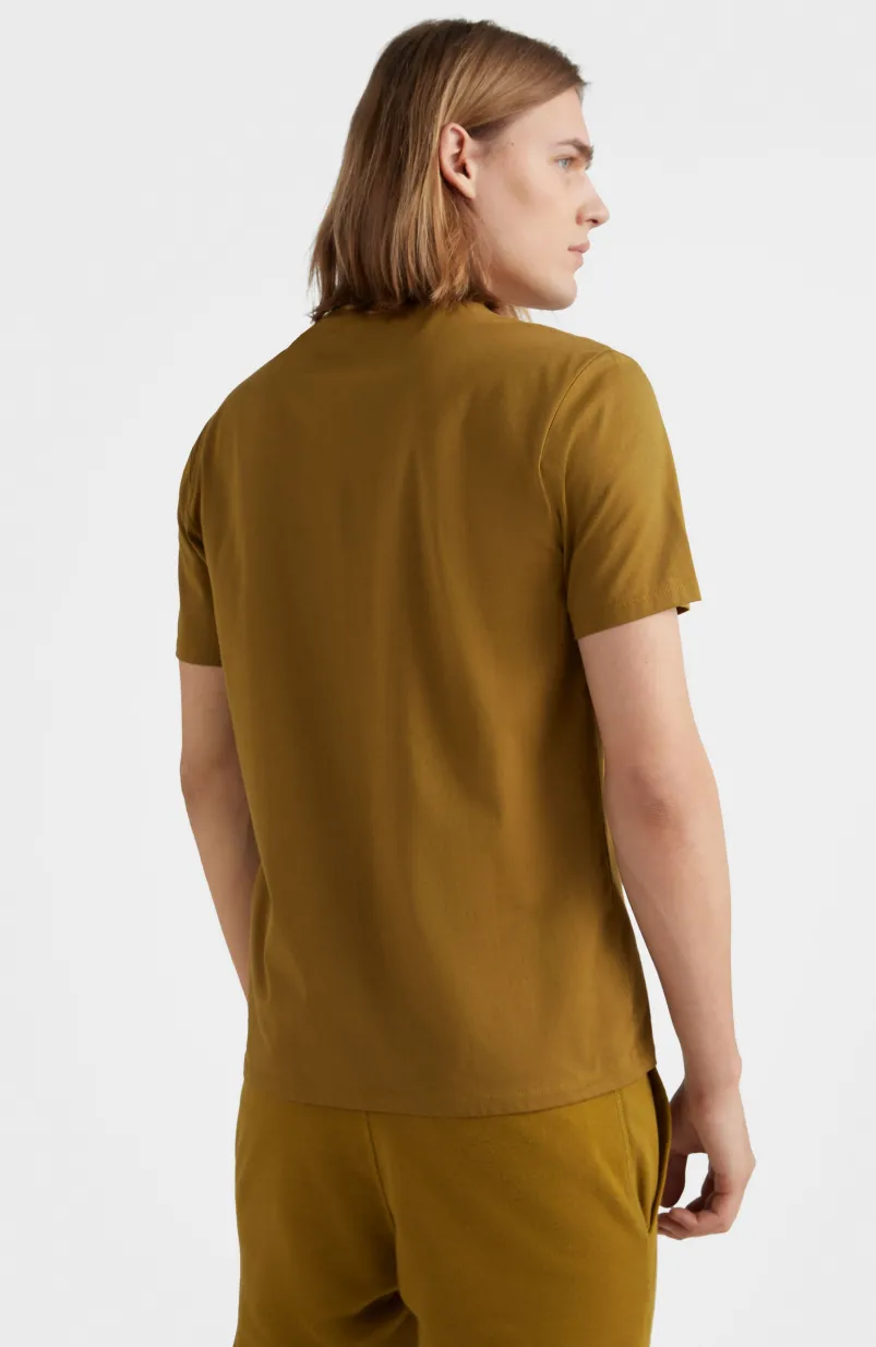 O'Neill Logo T-shirt | Plantation