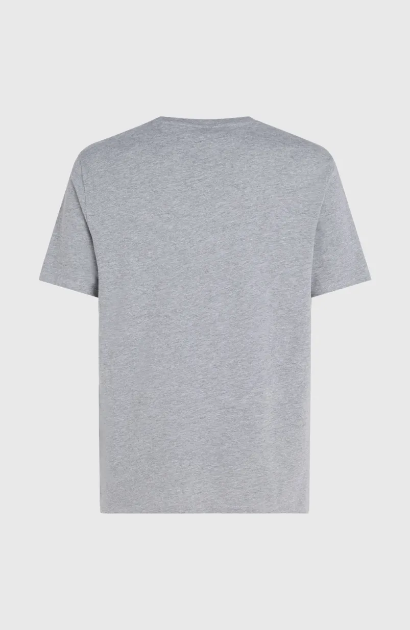 O'Neill Logo T-shirt | Silver Melee -A