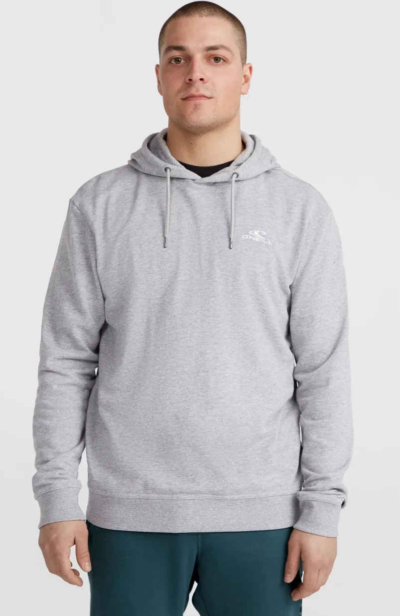 O'Neill Small Logo Hoodie | Silver Melee