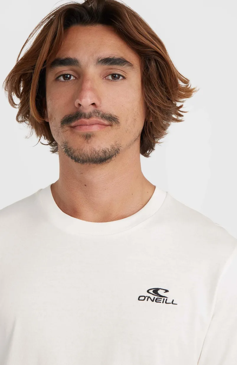 O'Neill Small Logo T-shirt | Snow White
