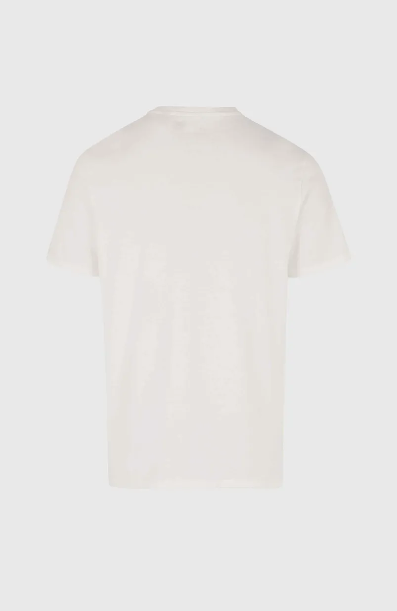 O'Neill Small Logo T-shirt | Snow White