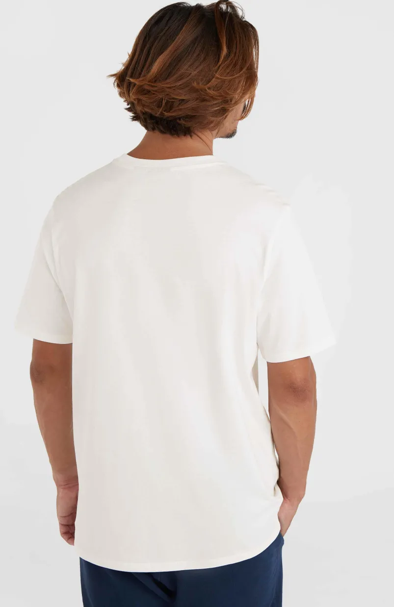 O'Neill Small Logo T-shirt | Snow White