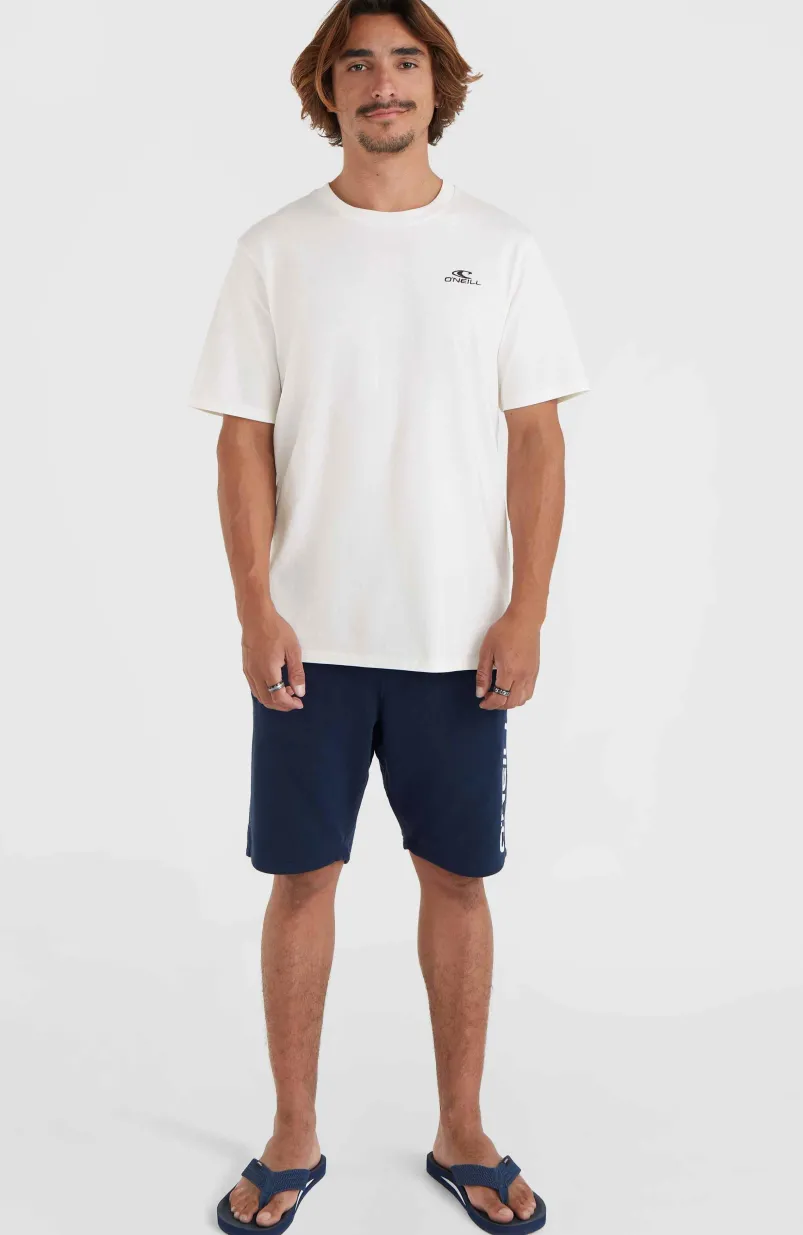 O'Neill Small Logo T-shirt | Snow White