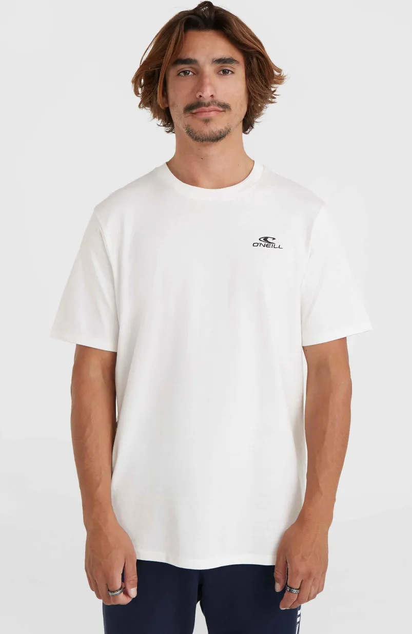 O'Neill Small Logo T-shirt | Snow White