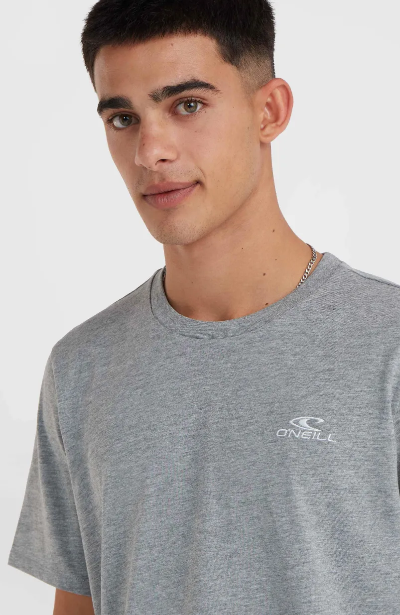 O'Neill Small Logo T-shirt | Silver Melee