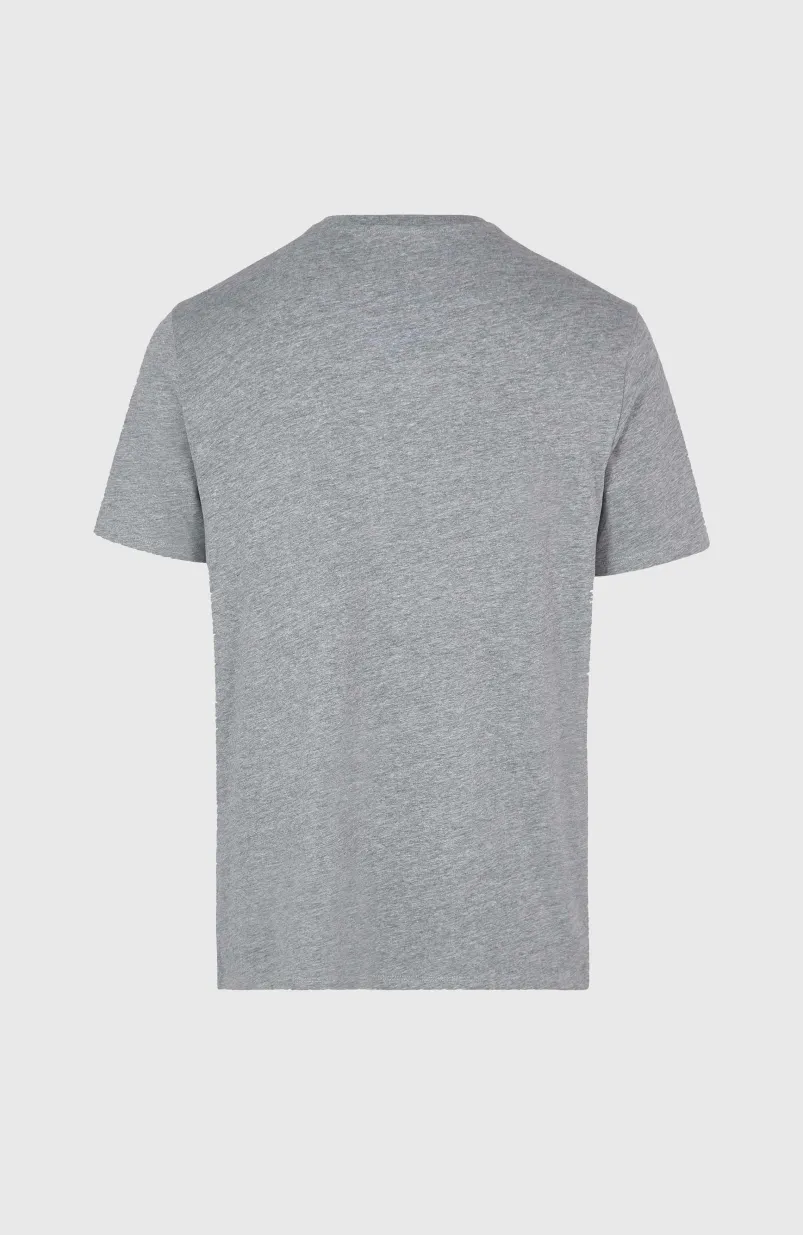 O'Neill Small Logo T-shirt | Silver Melee