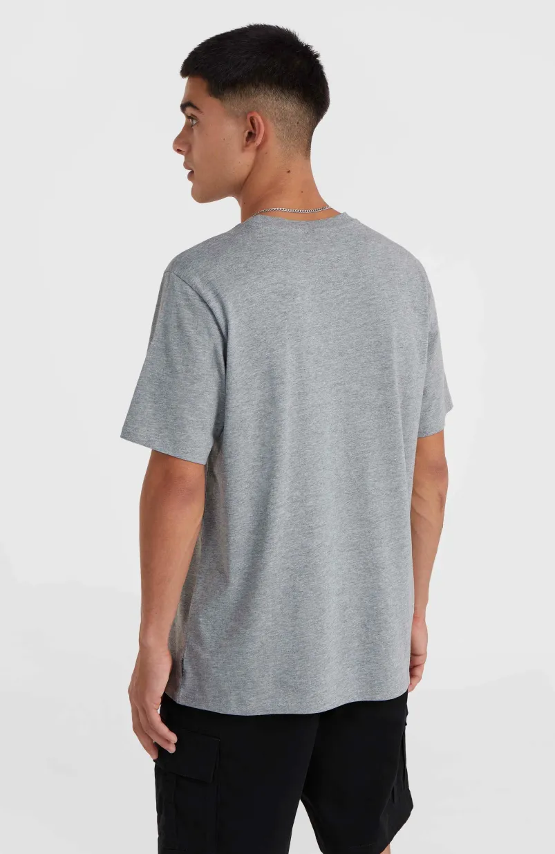O'Neill Small Logo T-shirt | Silver Melee
