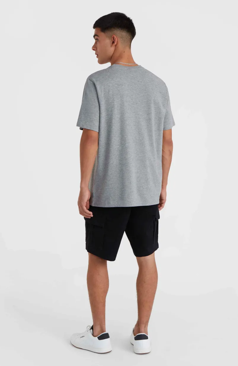 O'Neill Small Logo T-shirt | Silver Melee