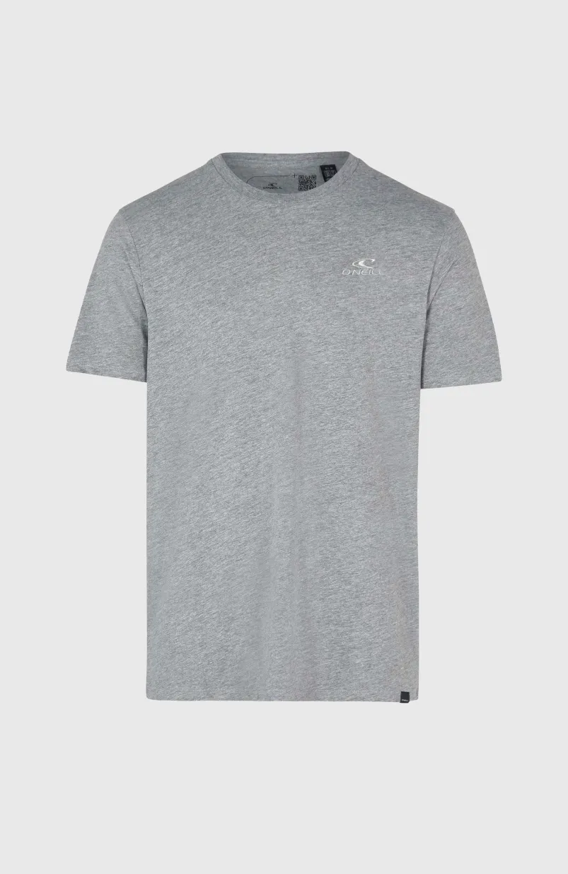 O'Neill Small Logo T-shirt | Silver Melee