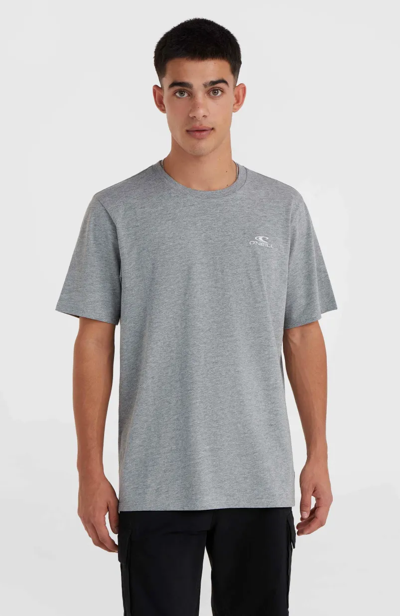 O'Neill Small Logo T-shirt | Silver Melee