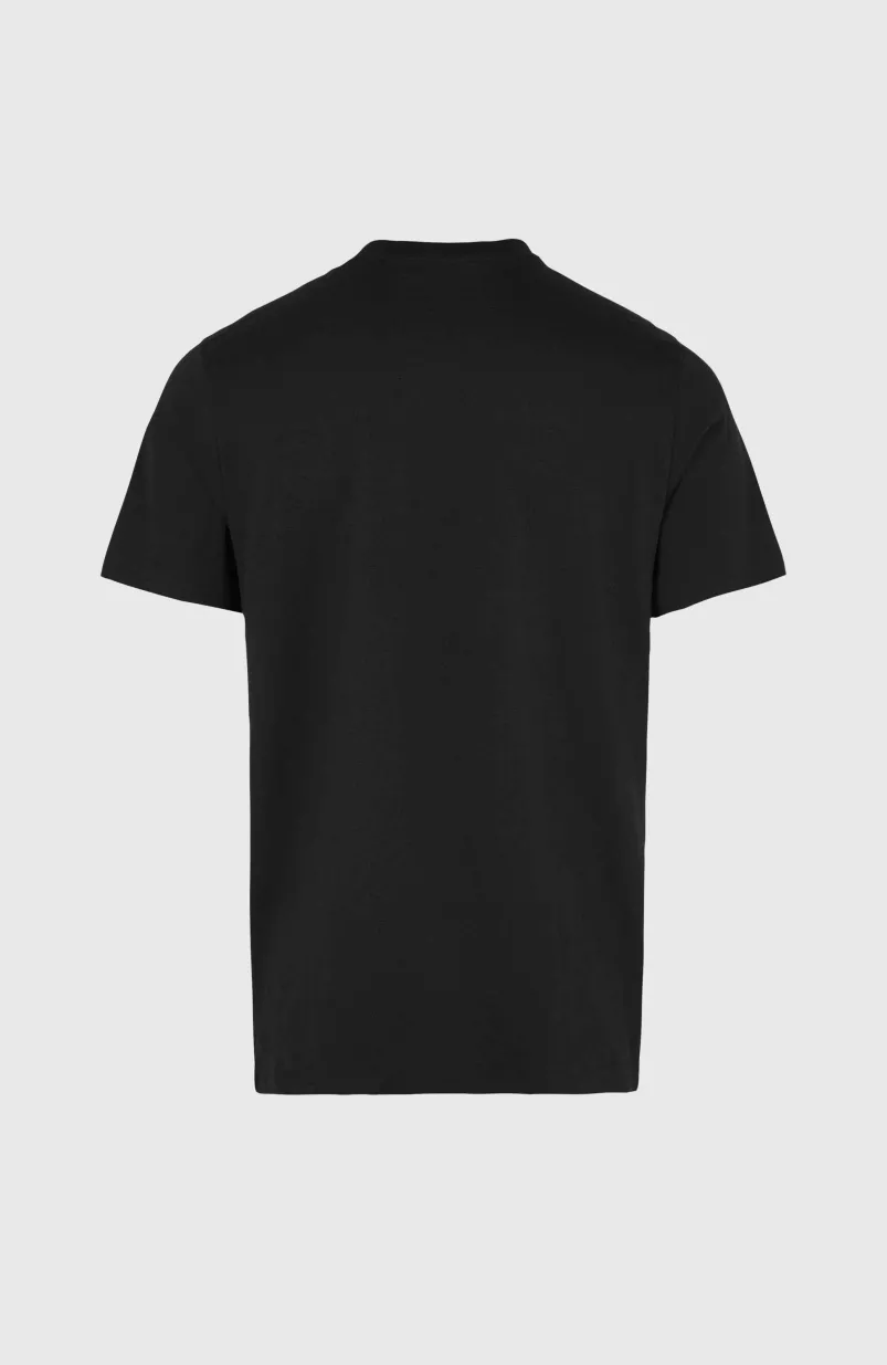 O'Neill Small Logo T-shirt | Black Out