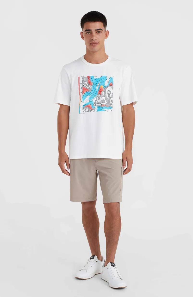 O'Neill TRVLR Series Stretch Short | Pumpkin Smoke