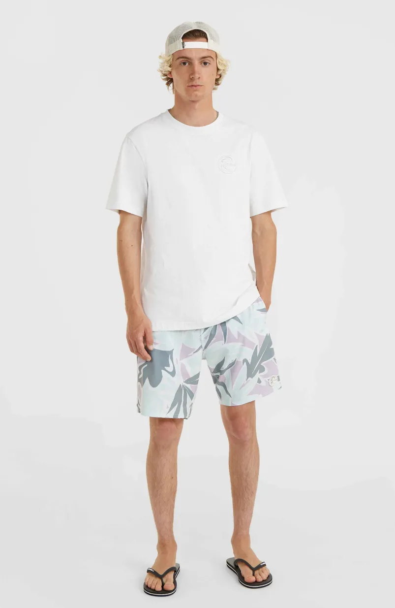 O'Riginals Print 18" Cruzers Boardshort | Seafoam White