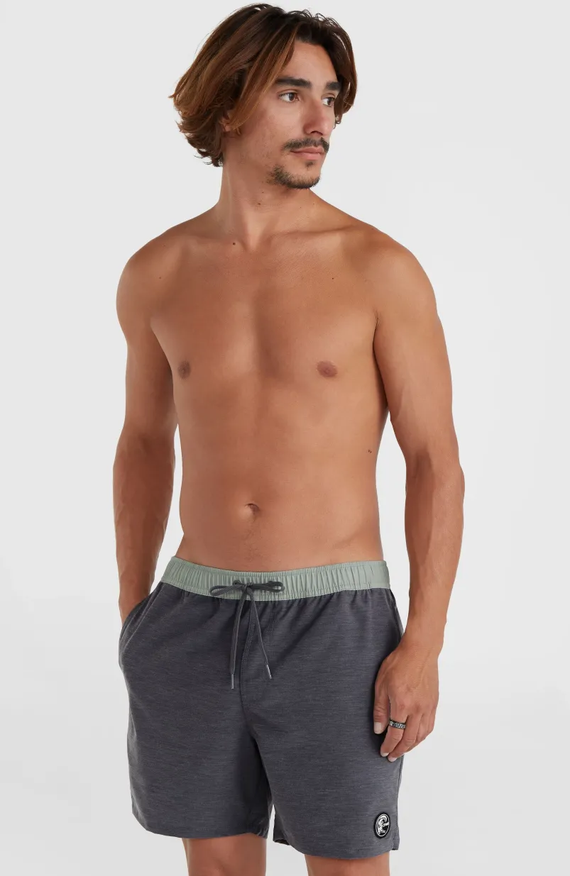 O’Riginals Volley 16" Swim Shorts | Graphite