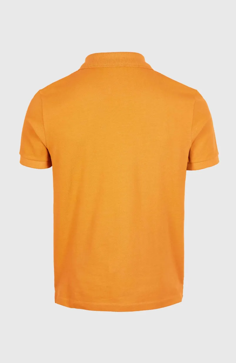 Polo O'Neill Small Logo | Nugget