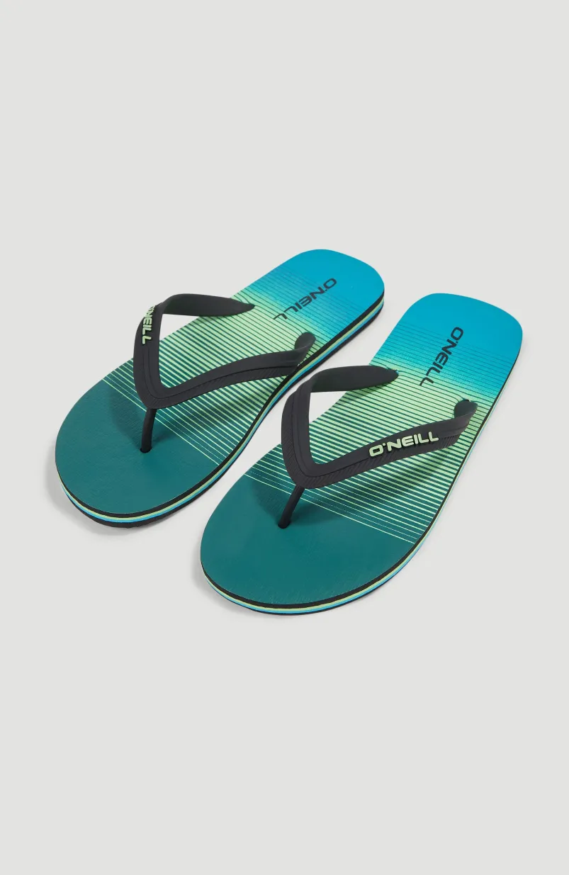 Profile Graphic Slippers | Beetle Juice Simple Gradient Panel
