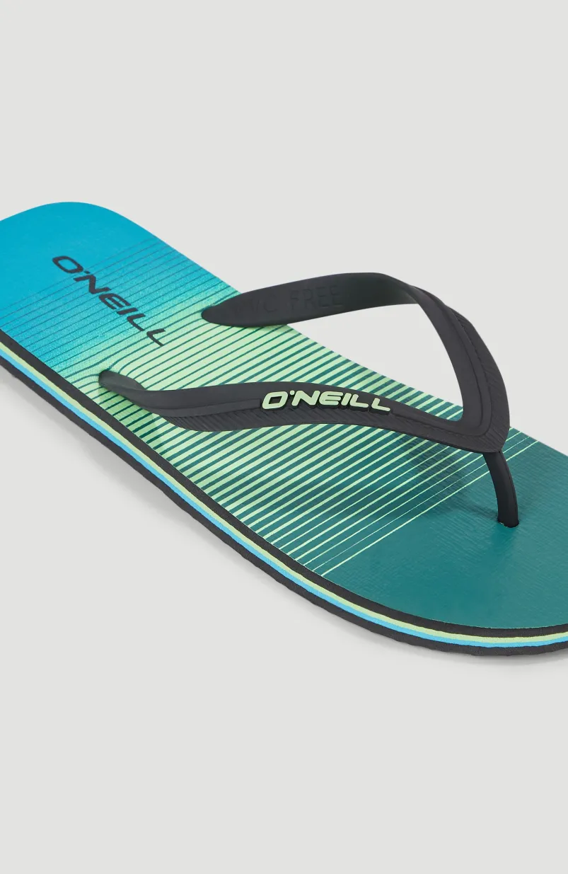 Profile Graphic Slippers | Beetle Juice Simple Gradient Panel