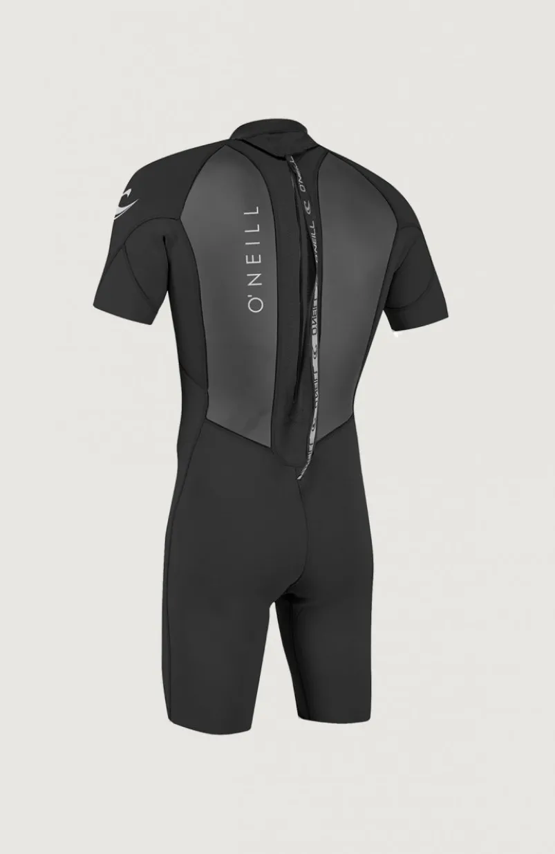 Reactor-2 2mm Back Zip Shortsleeve Spring Wetsuit | BLACK/BLACK