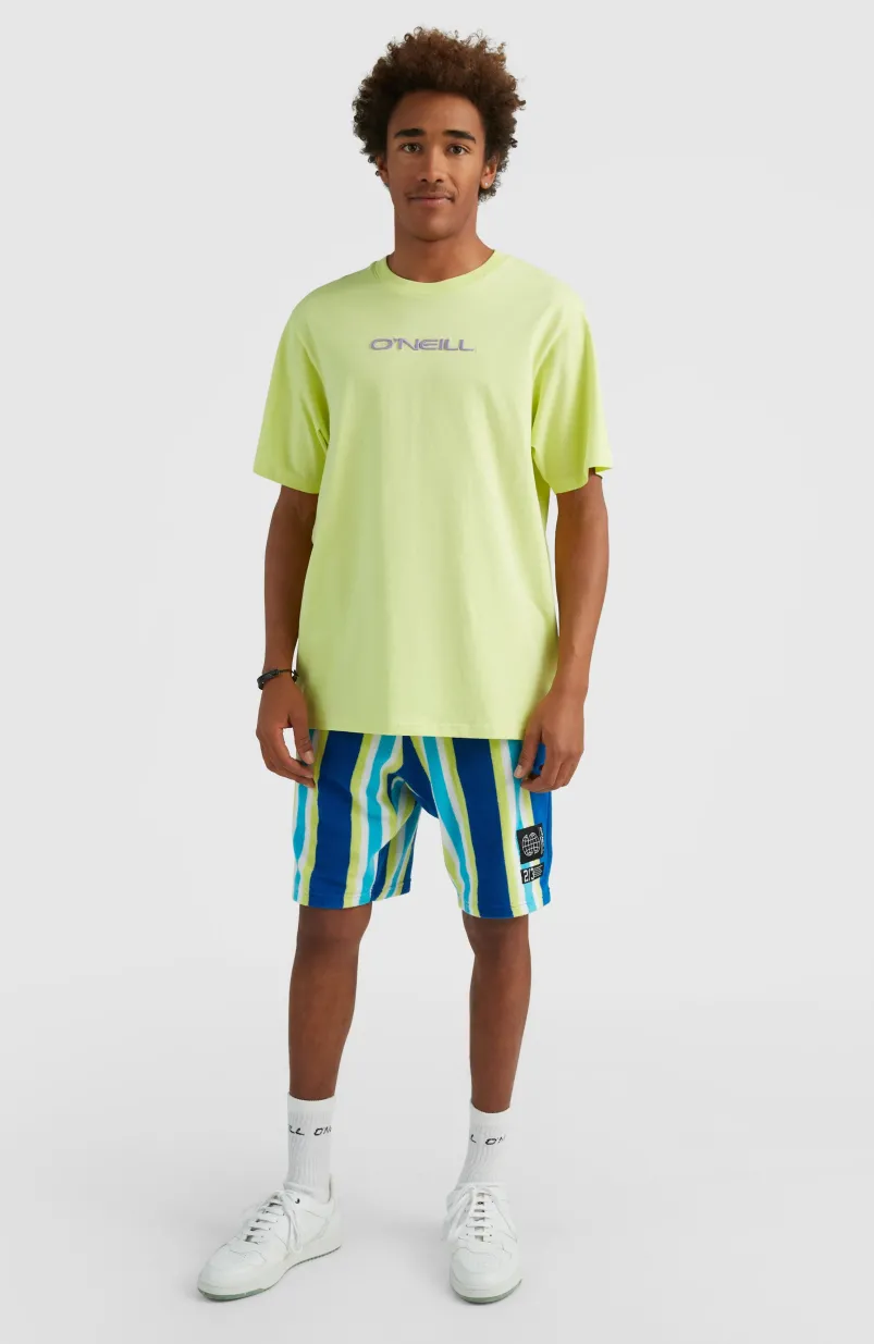 Short Brights Terry | Blue Towel Stripe