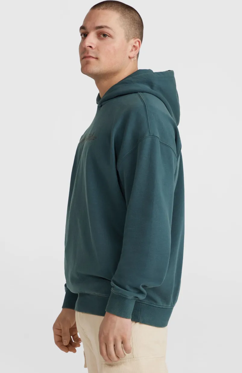 Surf Heroes Hoodie | Alma Steel
