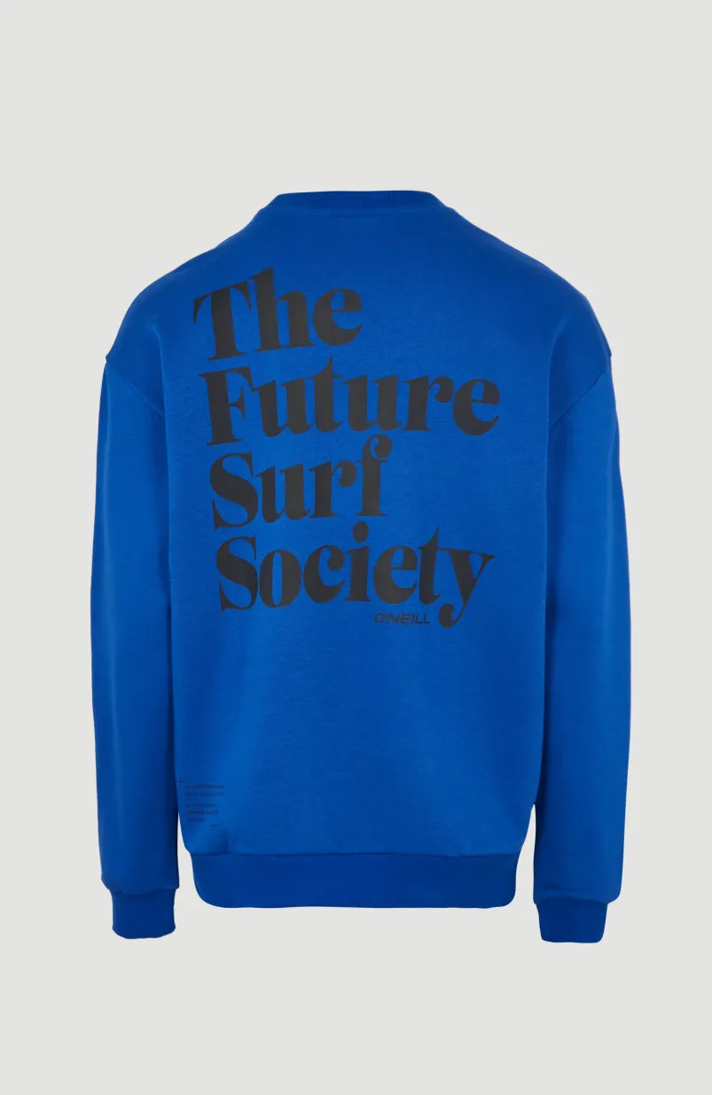 Sweater Future Surf Society | Surf The Web Blue