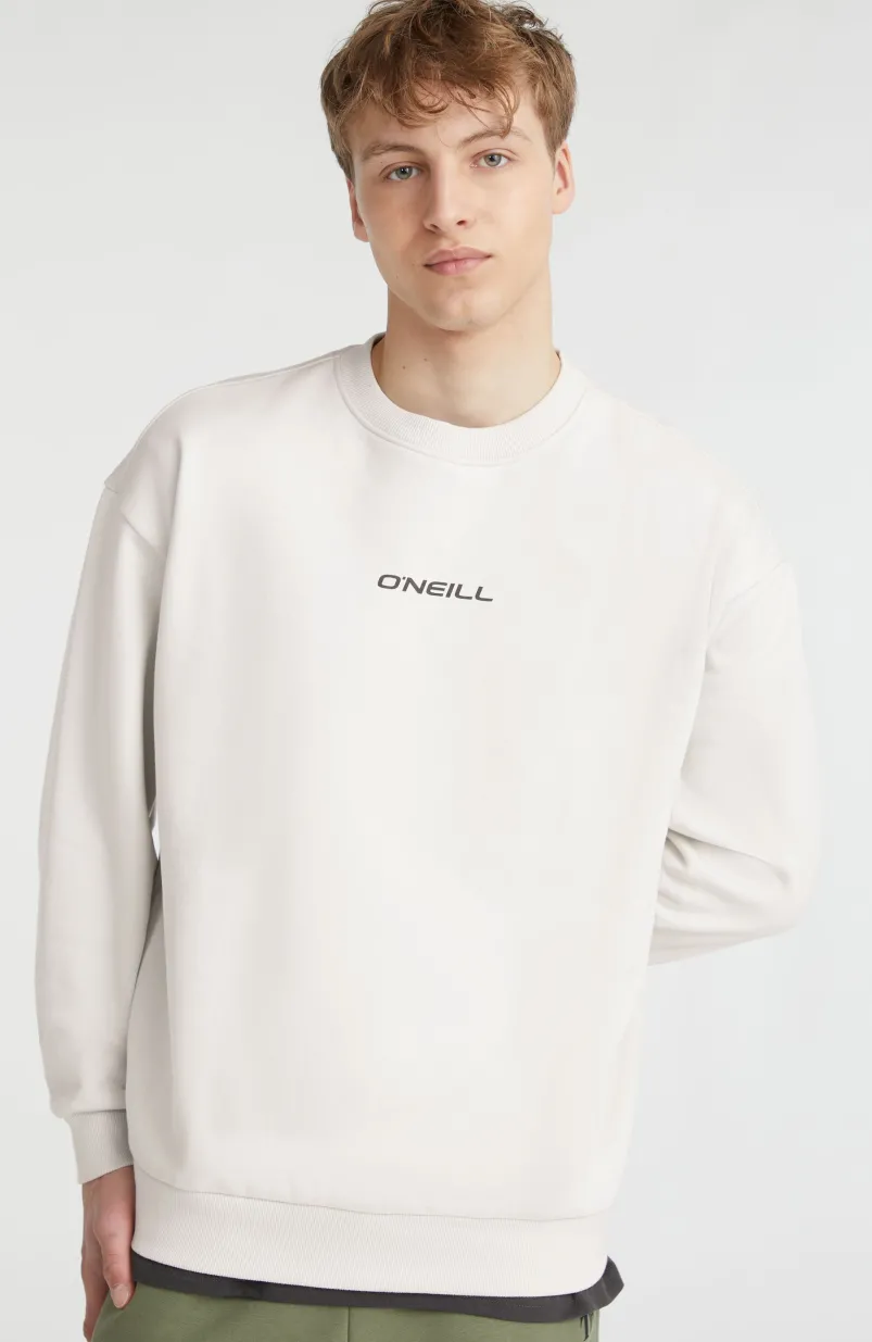 Sweater Future Surf Society | London Fog