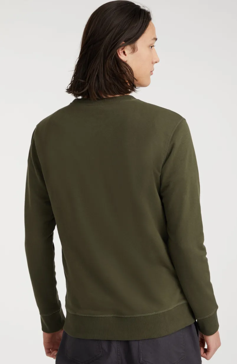 Sweater O'Neill Small Logo | Forest Night