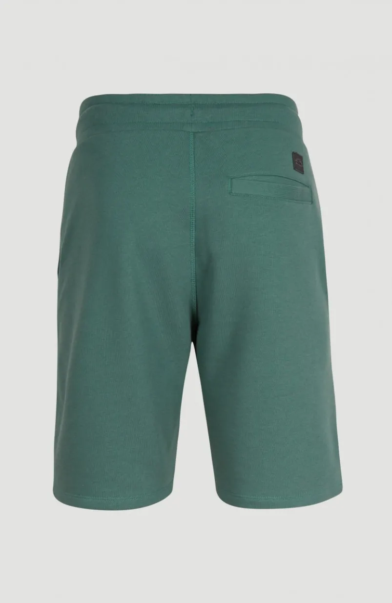Sweatshort O'Neill Logo | Sea Pine