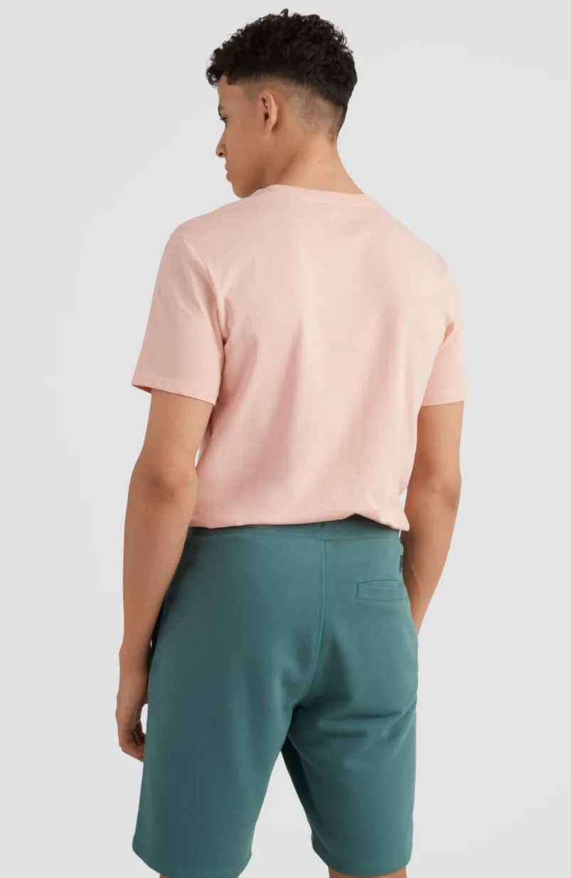 Sweatshort O'Neill Logo | Sea Pine