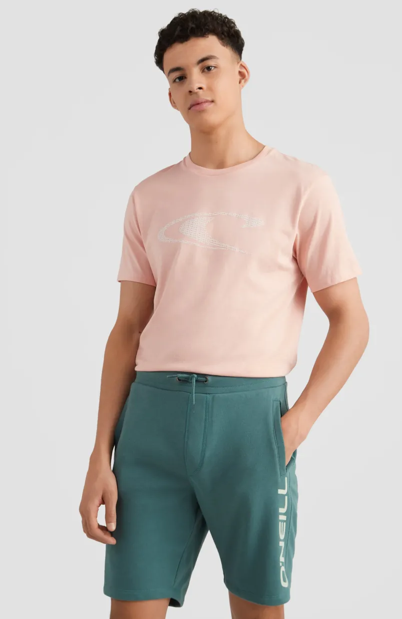Sweatshort O'Neill Logo | Sea Pine
