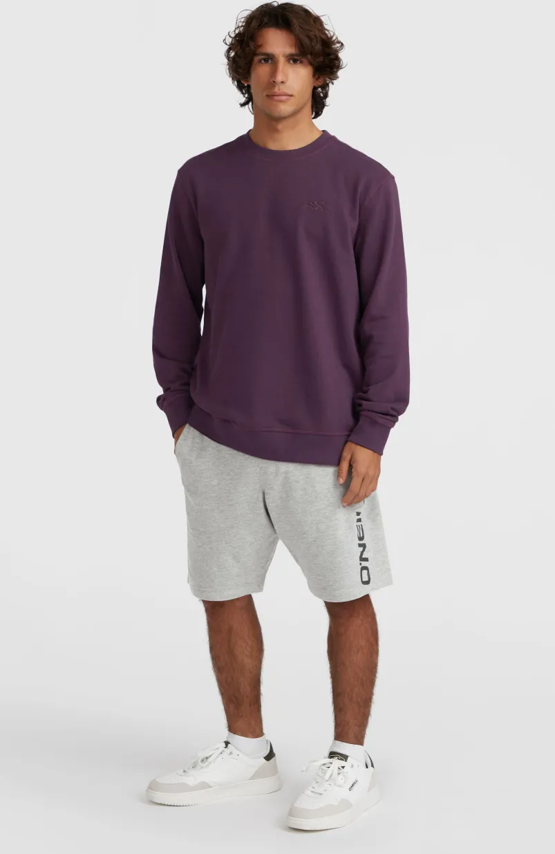 Sweatshort O'Neill Logo | Silver Melee -A