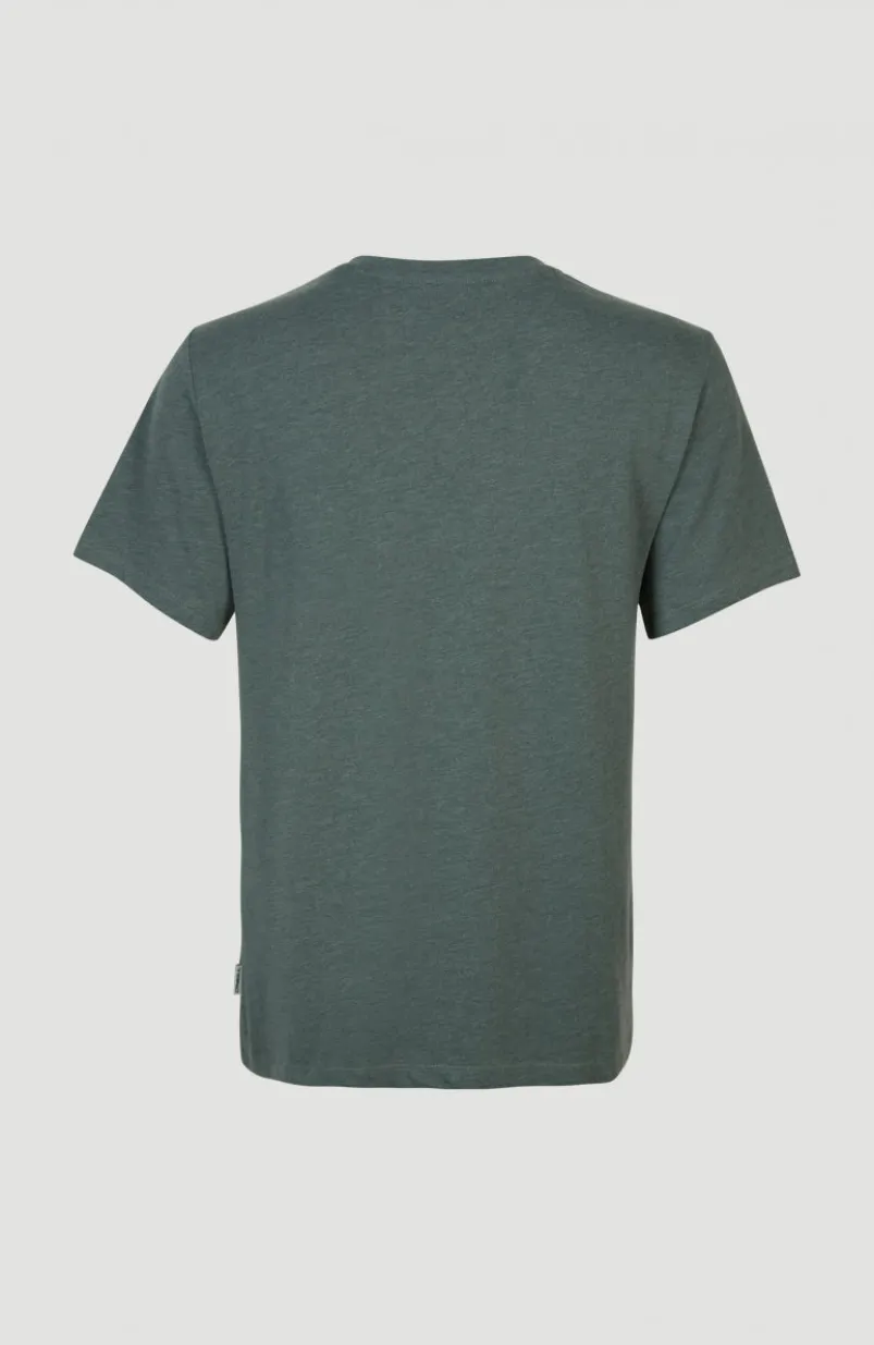 T-shirt Essentials Met V-hals | Balsam Green