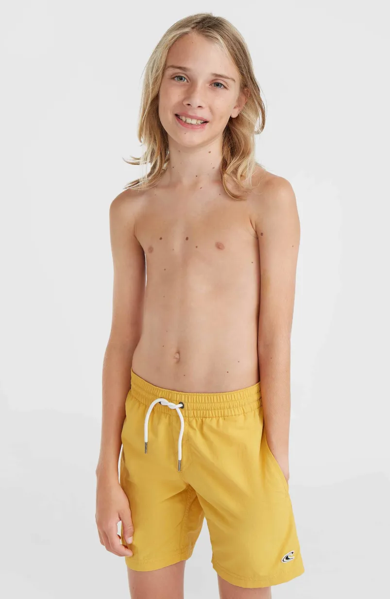 Vert 14" Zwembroek | Golden Haze