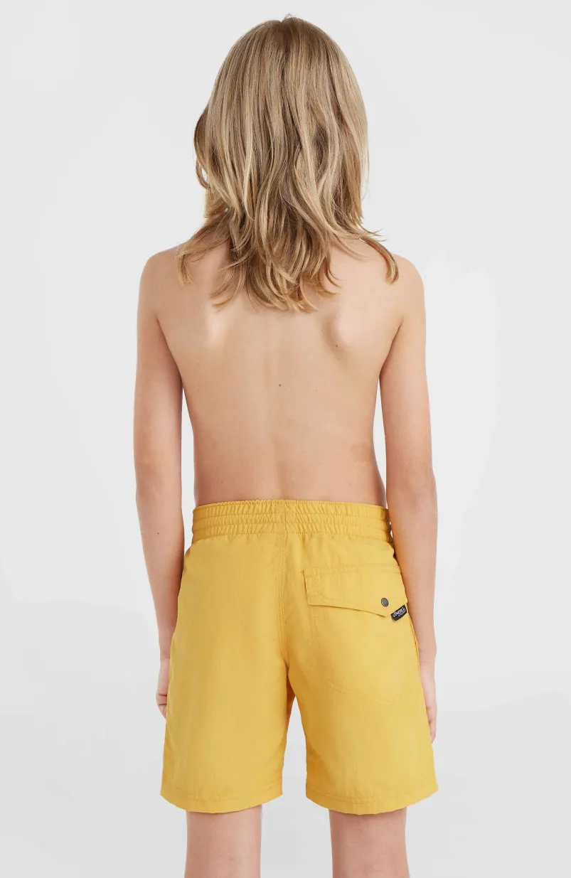 Vert 14" Zwembroek | Golden Haze