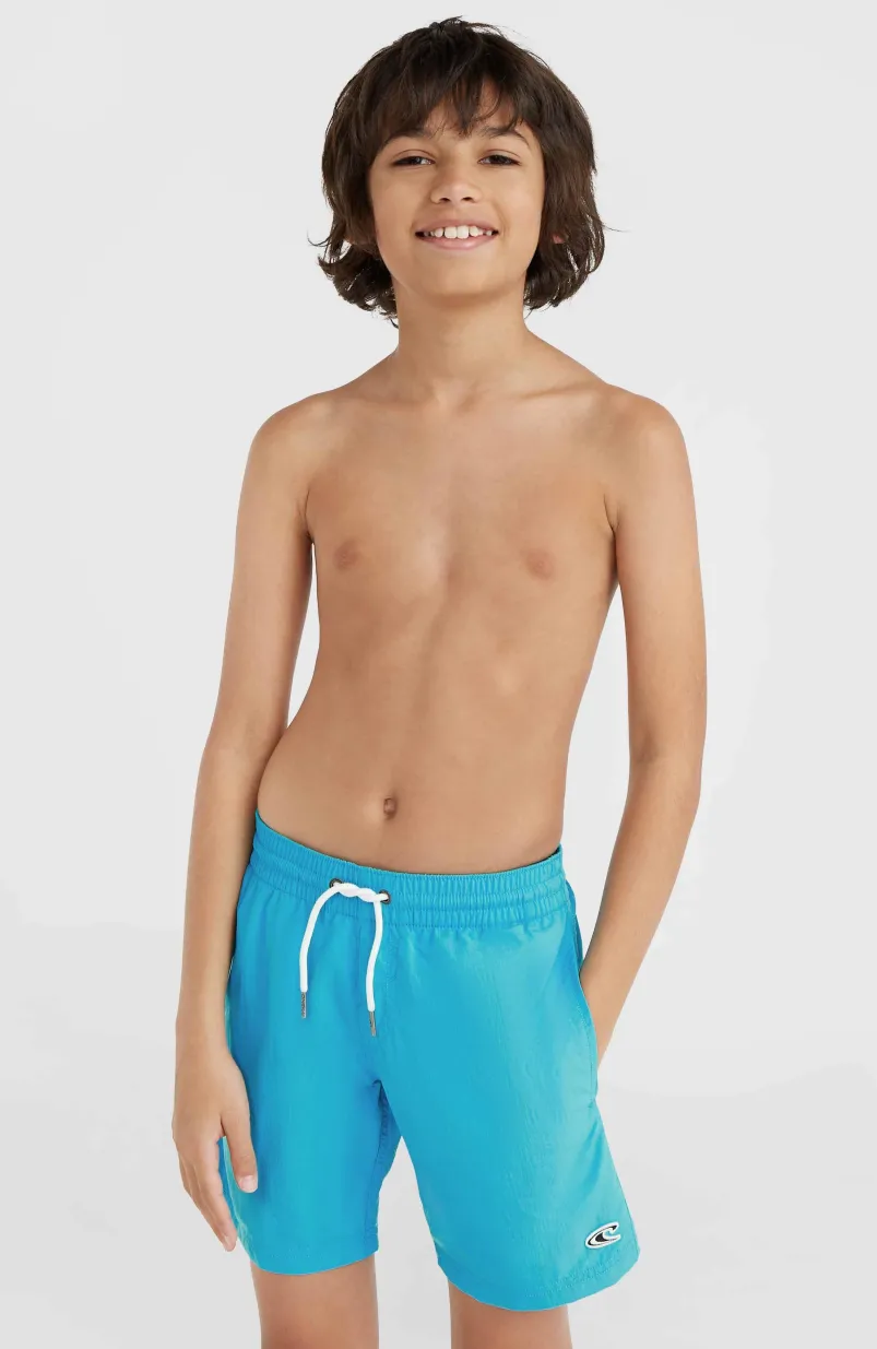 Vert 14" Zwembroek | Neon Blue