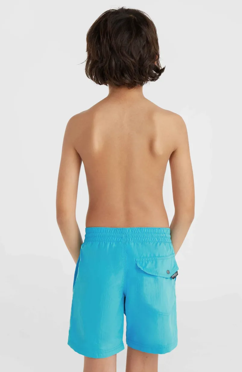 Vert 14" Zwembroek | Neon Blue