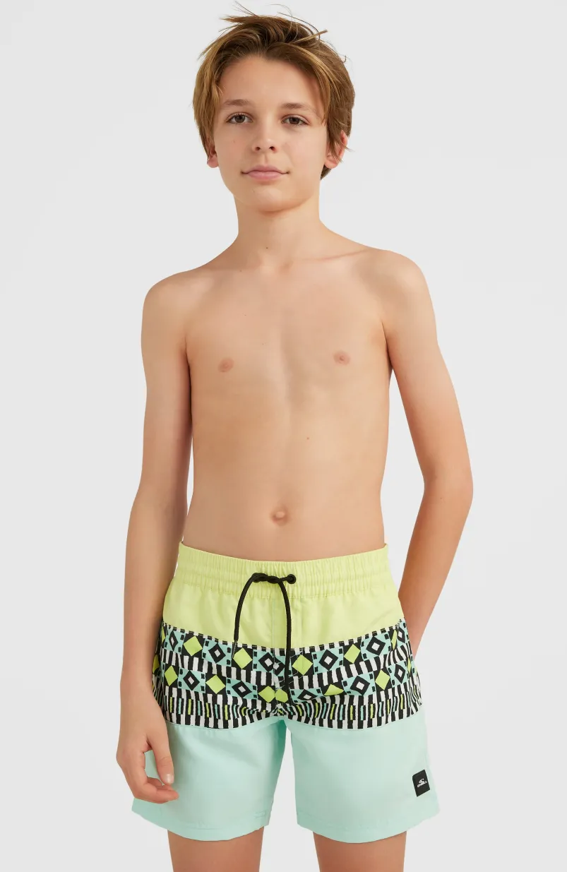Zwemshort Cali Block 13'' | Beach Glass Colour Block