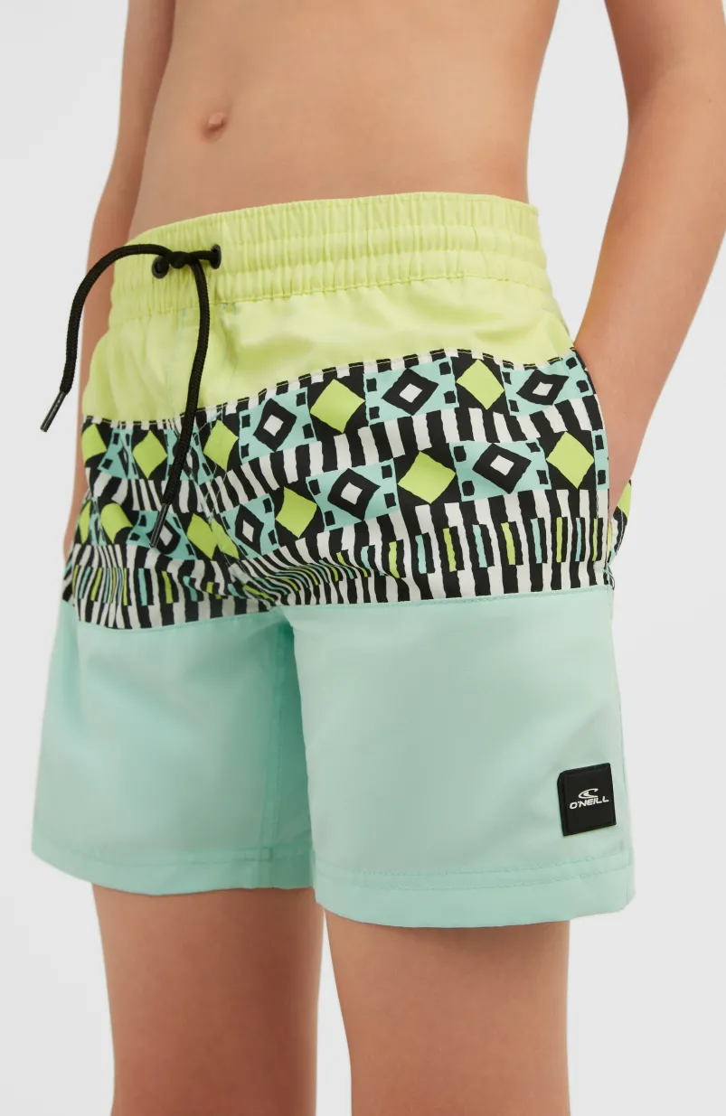 Zwemshort Cali Block 13'' | Beach Glass Colour Block