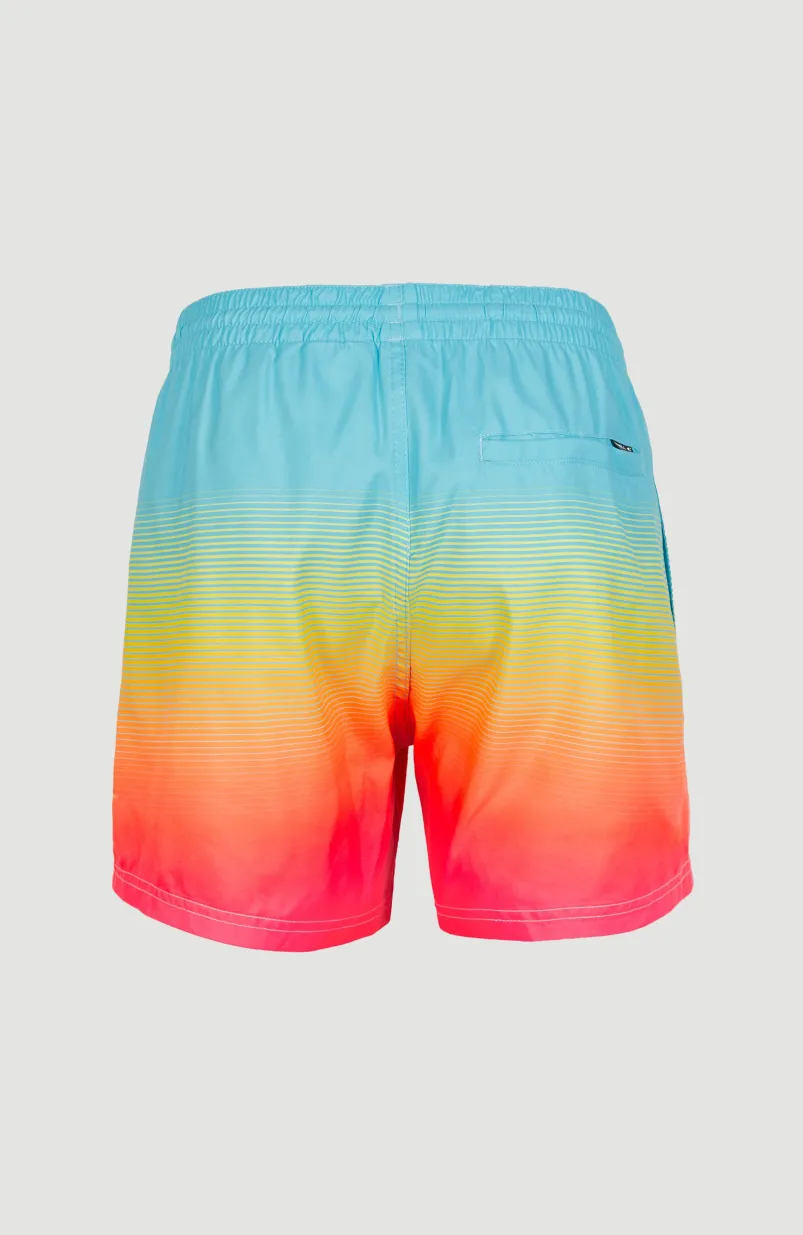 Zwemshort Cali Gradient 15'' | Light Blue Simple Gradient