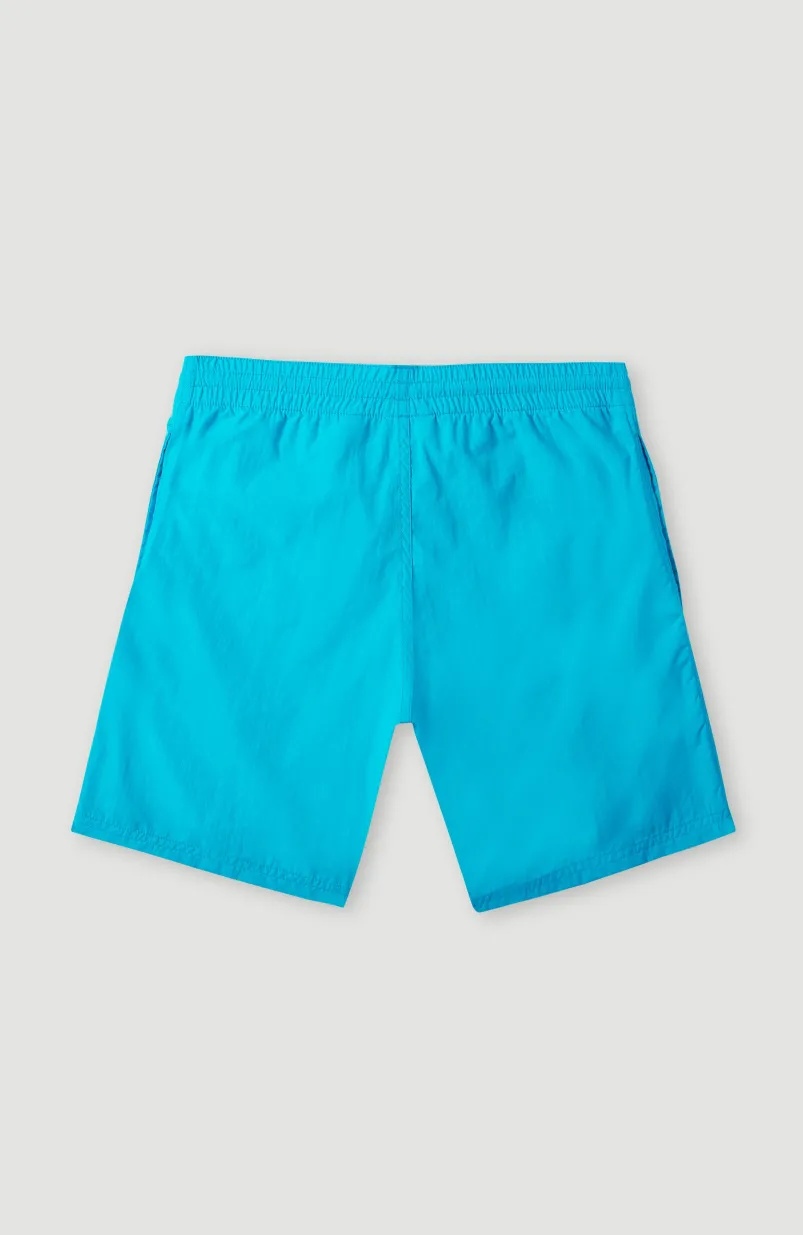 Zwemshort Cali Melting 14'' | Bachelor Button