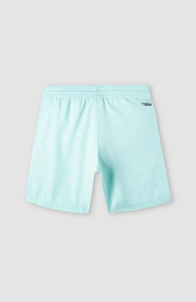 Zwemshort Original Cali 14 | Beach Glass