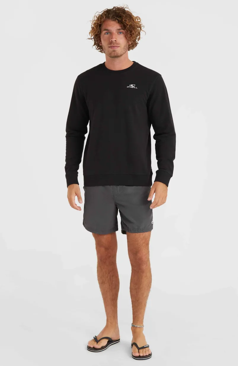 Zwemshort Vert 16'' | Asphalt