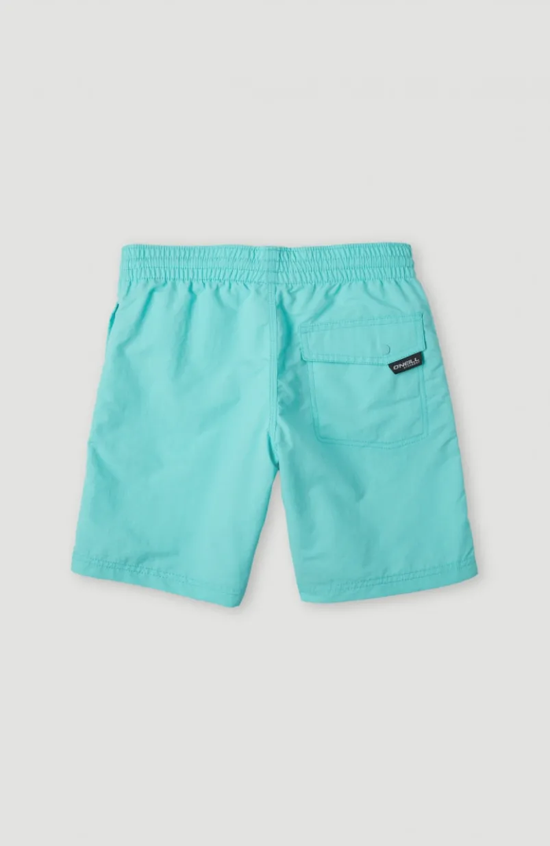 Zwemshort Vert 14 | Aqua Spalsh