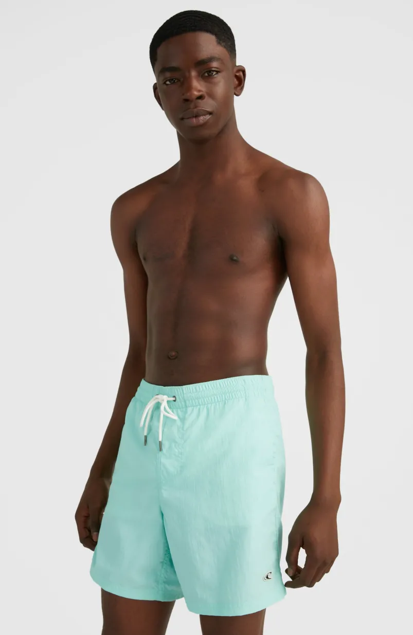 Zwemshort Vert 16'' | Beach Glass